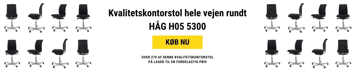 Håg-h05-5300
